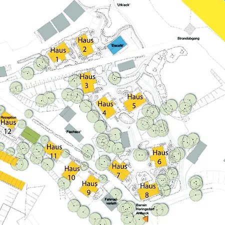 Duenenhaus Unserusedomde Ca40qm Mit Parkplatz Direkt Am 6i2 *
